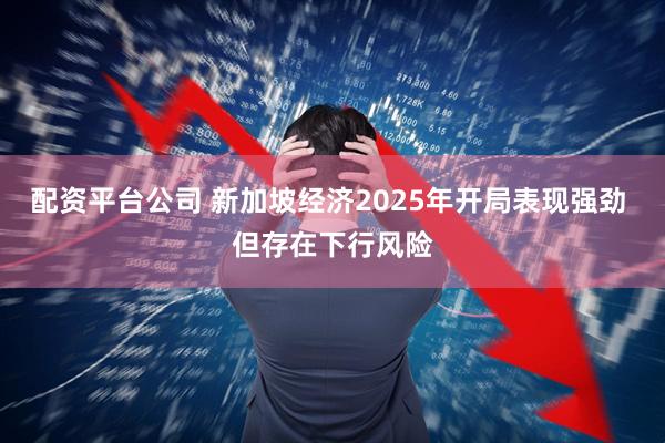 配资平台公司 新加坡经济2025年开局表现强劲 但存在下行风险